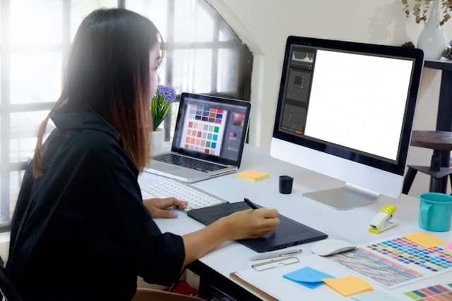 UX/UI Designer